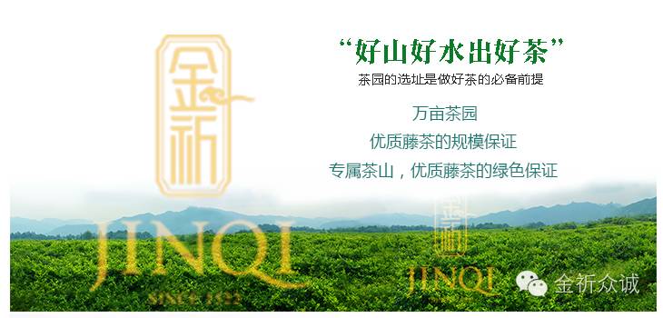 喝富硒藤茶有什么反应(喝富硒茶身体有什么反应)-硒宝网