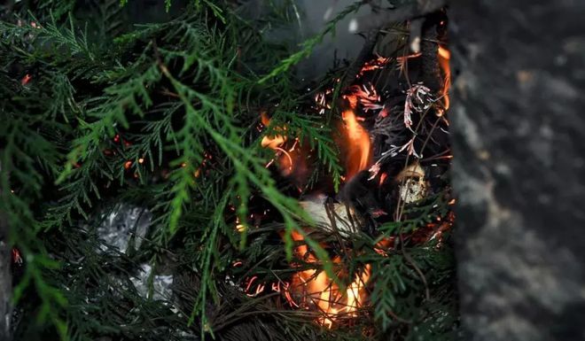 土家富硒茶原产地在哪(土家族富硒茶)-硒宝网