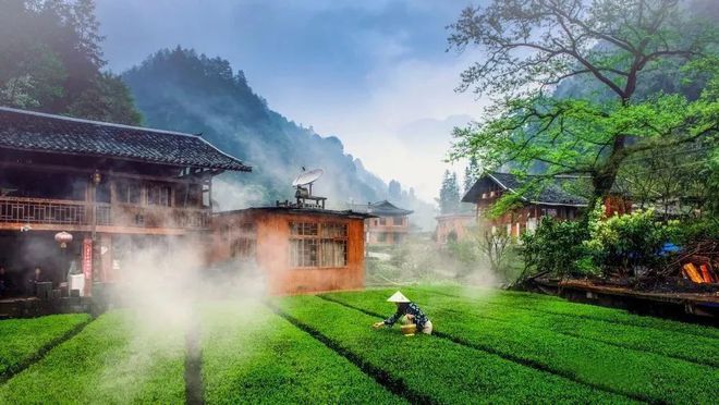 土家富硒茶原产地在哪(土家族富硒茶)-硒宝网