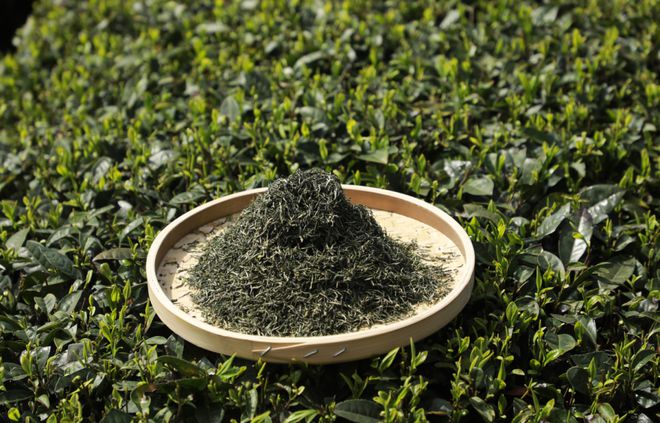 土家富硒茶原产地在哪(土家族富硒茶)-硒宝网