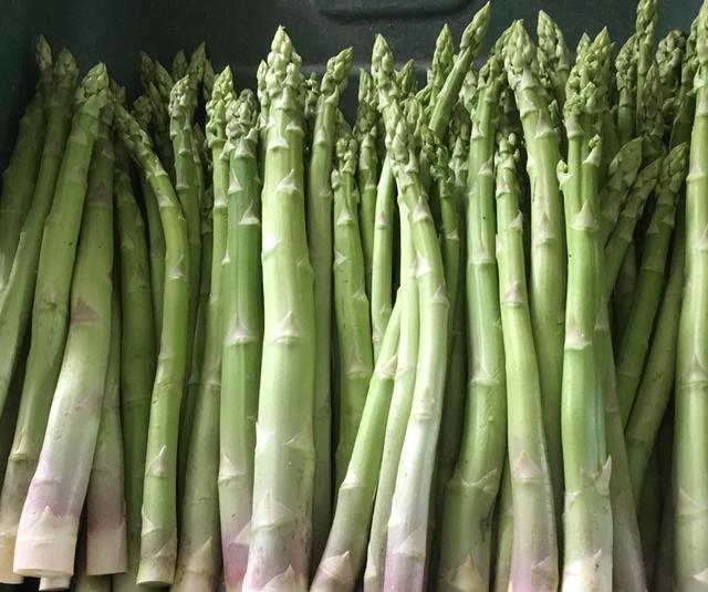 喝药能喝富硒芦笋茶吗（吃芦笋能喝茶吗）-硒宝网