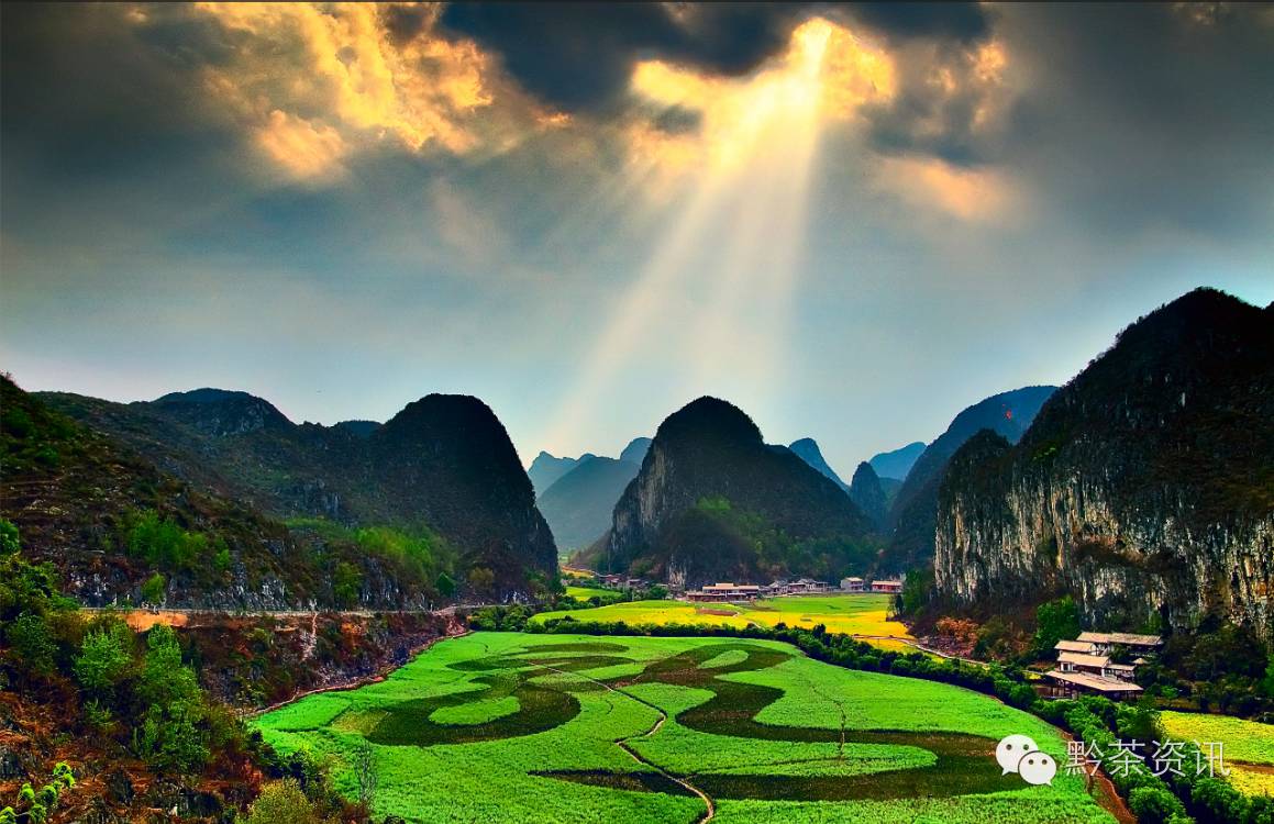 富硒茶产地是哪里的好(富硒茶中的硒指什么)-硒宝网