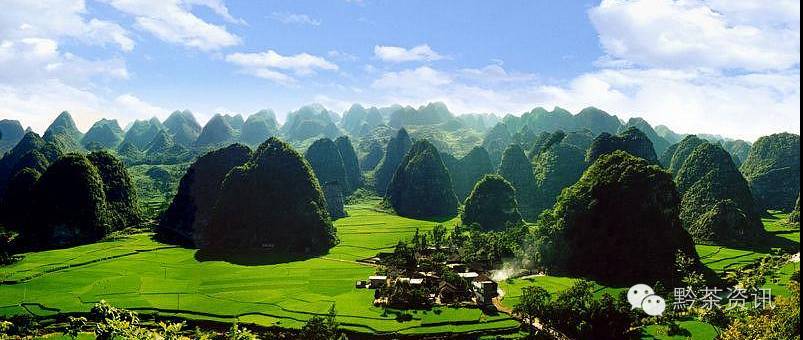 富硒茶产地是哪里的好(富硒茶中的硒指什么)-硒宝网