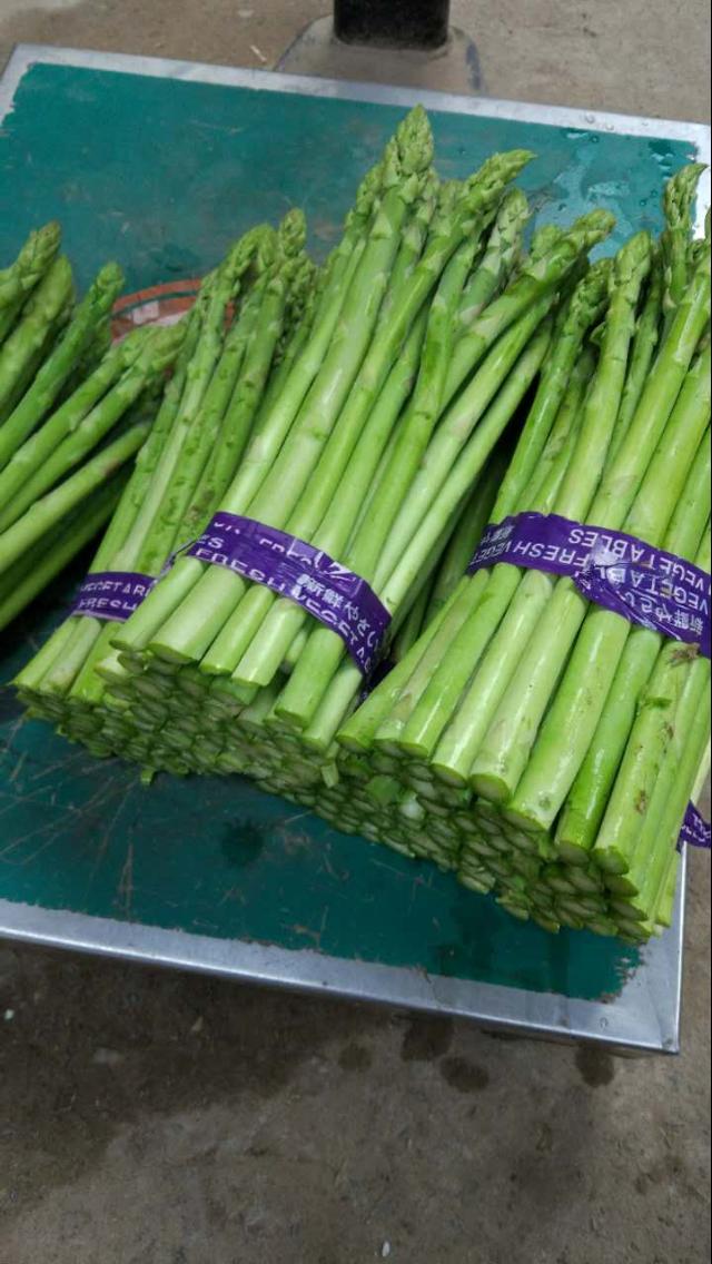 喝药能喝富硒芦笋茶吗(喝芦笋茶有什么好处)-硒宝网