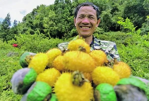 开阳县富硒茶企业排名(开阳富硒茶地理标志)-硒宝网