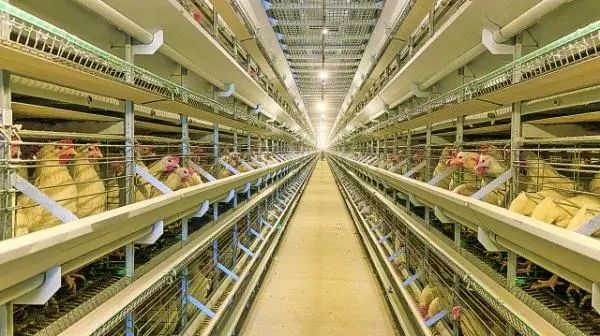 开阳县富硒茶企业排名(开阳富硒茶地理标志)-硒宝网