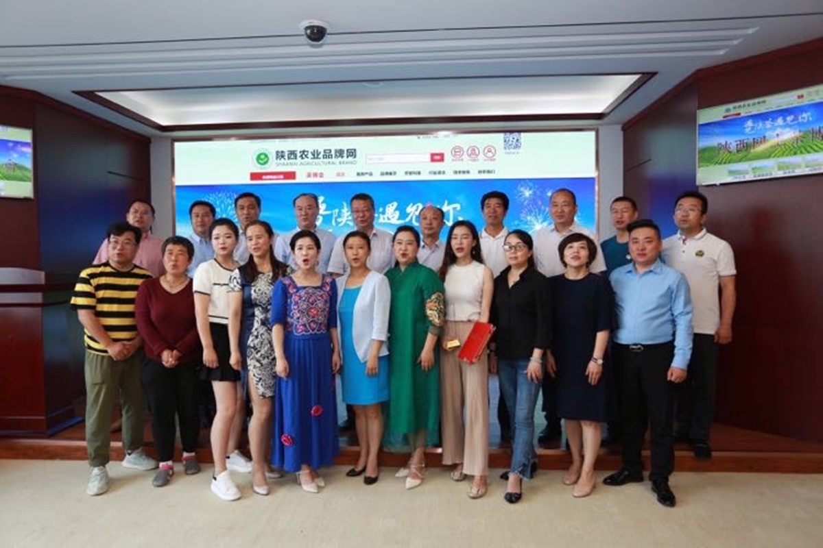 汉中仙毫和安康富硒茶(陕西省汉中仙毫茶叶价格表)-硒宝网