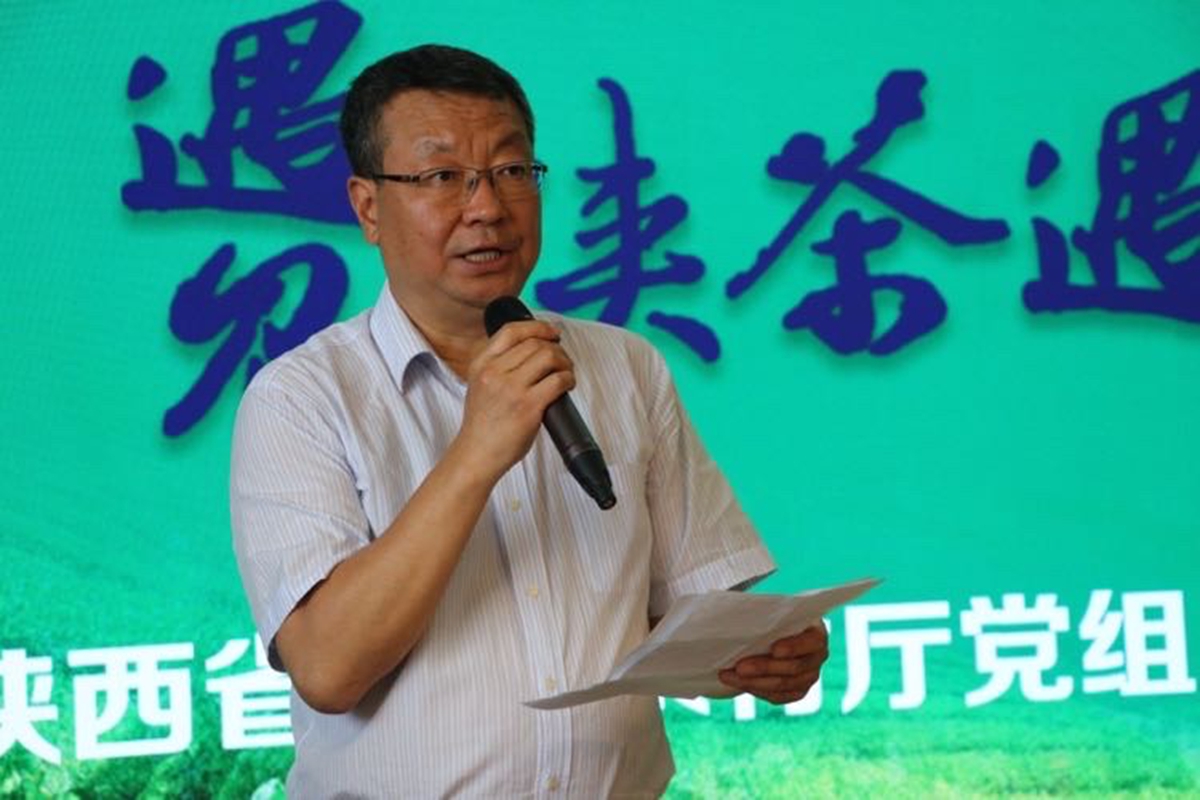 汉中仙毫和安康富硒茶(陕西省汉中仙毫茶叶价格表)-硒宝网