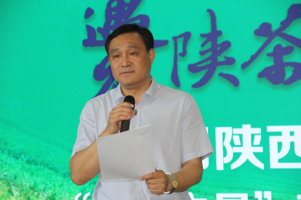 汉中仙毫和安康富硒茶(陕西省汉中仙毫茶叶价格表)-硒宝网