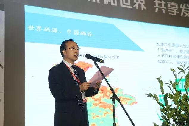 汉中仙毫和安康富硒茶（汉中仙毫2021新茶价格）-硒宝网