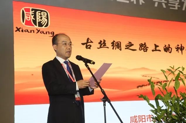 汉中仙毫和安康富硒茶（汉中仙毫2021新茶价格）-硒宝网