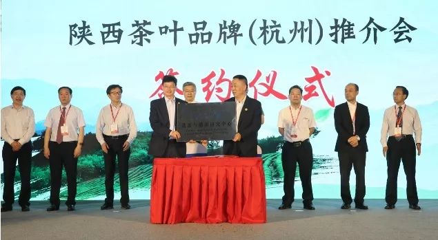 汉中仙毫和安康富硒茶（汉中仙毫2021新茶价格）-硒宝网