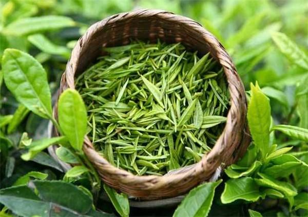 富硒茶叶宴是什么茶香(富硒茶园)-硒宝网