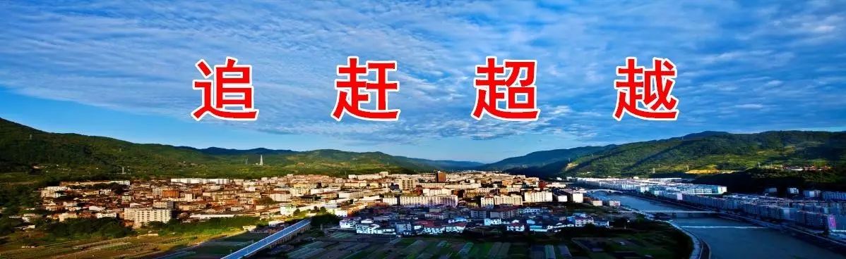 安家坪富硒茶是哪里的（陕西省安康市安家坪富硒茶）-硒宝网