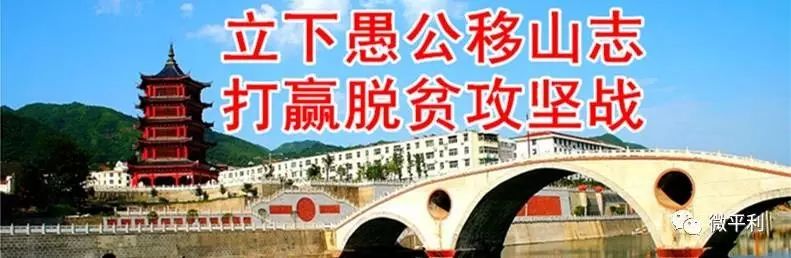 安家坪富硒茶是哪里的（陕西省安康市安家坪富硒茶）-硒宝网