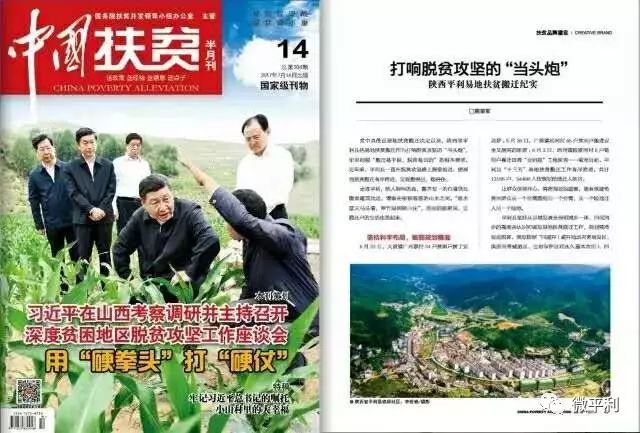 安家坪富硒茶是哪里的（陕西省安康市安家坪富硒茶）-硒宝网