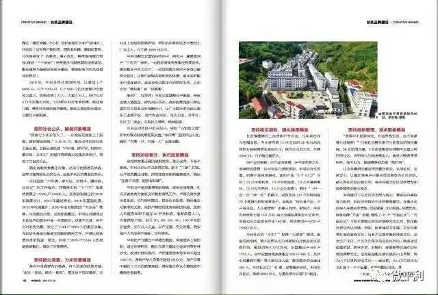 安家坪富硒茶是哪里的（陕西省安康市安家坪富硒茶）-硒宝网