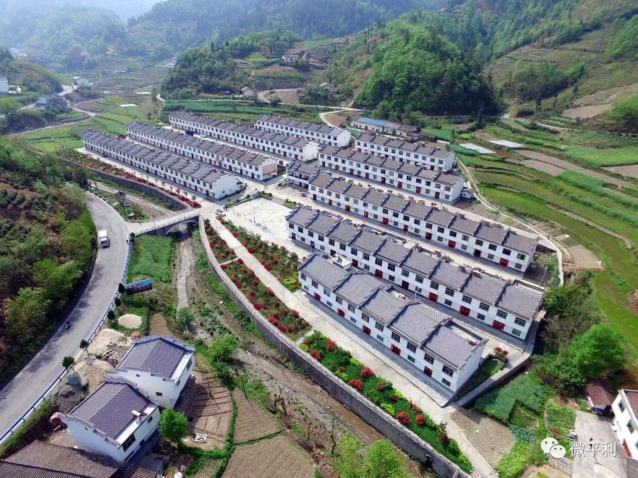 安家坪富硒茶是哪里的（陕西省安康市安家坪富硒茶）-硒宝网