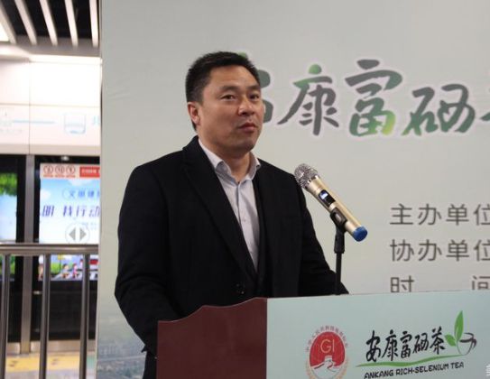 中国陕西富硒茶排行榜(陕西富硒茶的功效与作用)-硒宝网