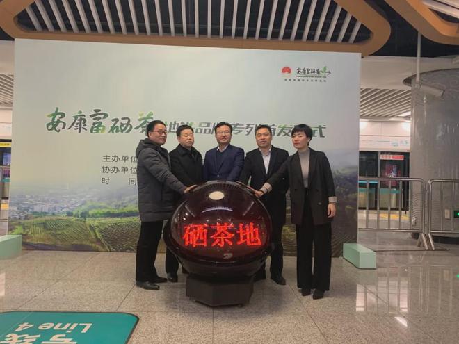 中国陕西富硒茶排行榜(陕西富硒茶的功效与作用)-硒宝网