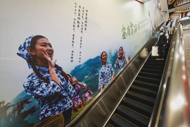 中国陕西富硒茶排行榜(陕西富硒茶的功效与作用)-硒宝网