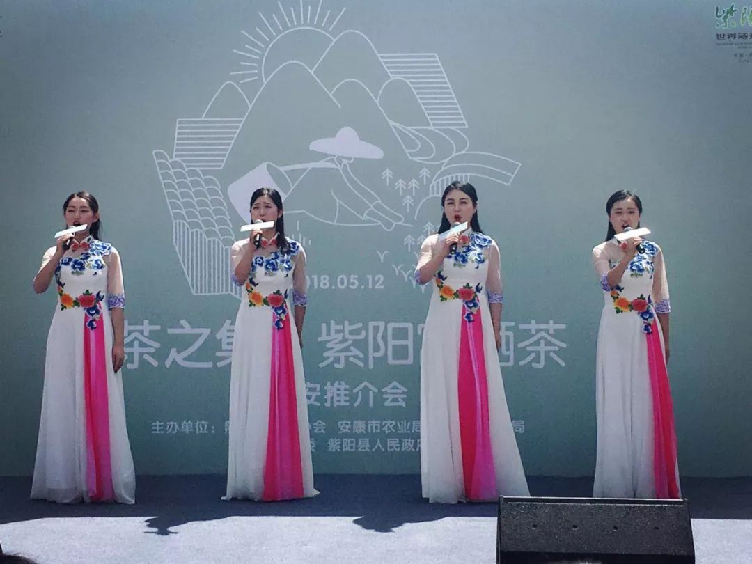 富硒绿茶和黑茶哪个好(绿茶与黑茶哪个更抗癌)-硒宝网