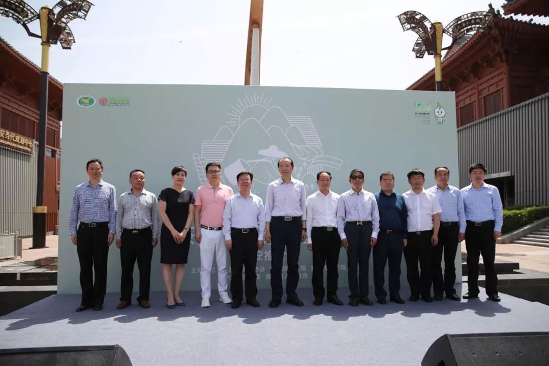 富硒绿茶和黑茶哪个好(绿茶与黑茶哪个更抗癌)-硒宝网