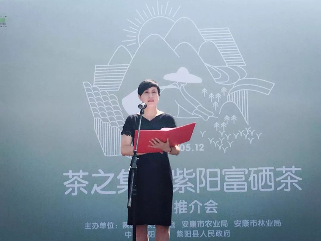 富硒绿茶和黑茶哪个好(绿茶与黑茶哪个更抗癌)-硒宝网