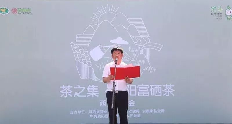 富硒绿茶和黑茶哪个好(绿茶与黑茶哪个更抗癌)-硒宝网