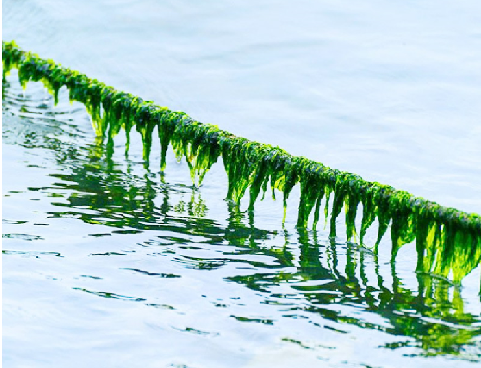 一岁半宝宝需要补钙吗(补钙宝宝需要吃多久)-硒宝网