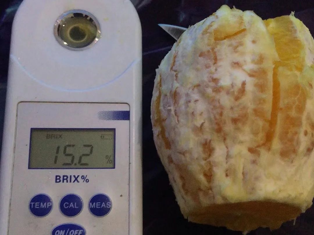 一岁半宝宝需要补钙吗(补钙宝宝需要吃多久)-硒宝网