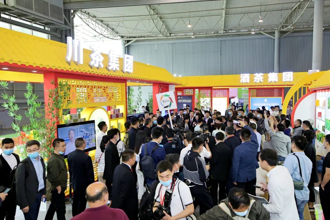 福建富硒普洱茶哪里买(富硒茶和普通茶的区别)-硒宝网