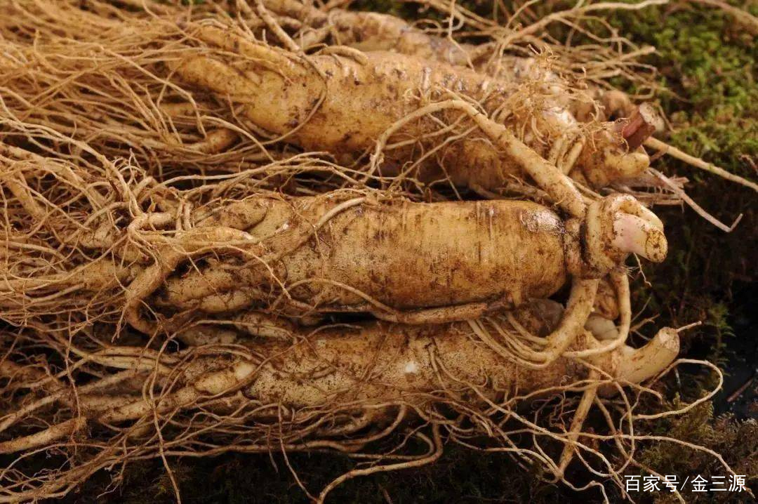 山西富硒普洱茶哪里买(富硒茶和普通茶的区别)-硒宝网