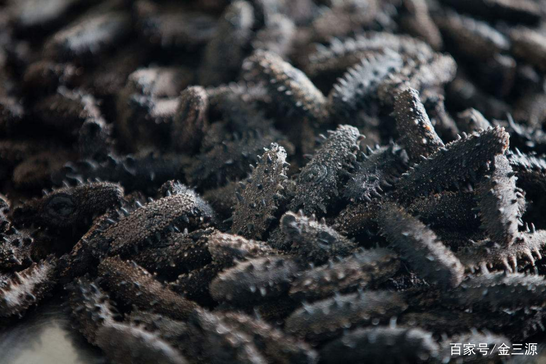 山西富硒普洱茶哪里买(富硒茶和普通茶的区别)-硒宝网