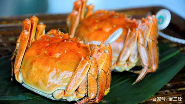 山西富硒普洱茶哪里买(富硒茶和普通茶的区别)-硒宝网