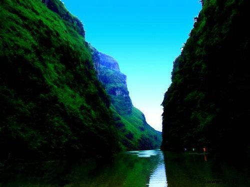 富硒茶有安神的作用吗（安神茶作用富硒有哪些功效）-硒宝网