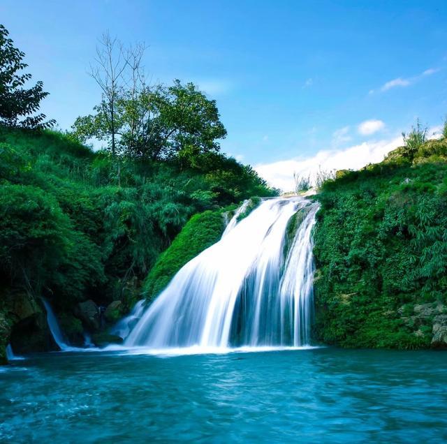 富硒茶有安神的作用吗（安神茶作用富硒有哪些功效）-硒宝网