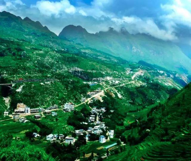 富硒茶有安神的作用吗（安神茶作用富硒有哪些功效）-硒宝网