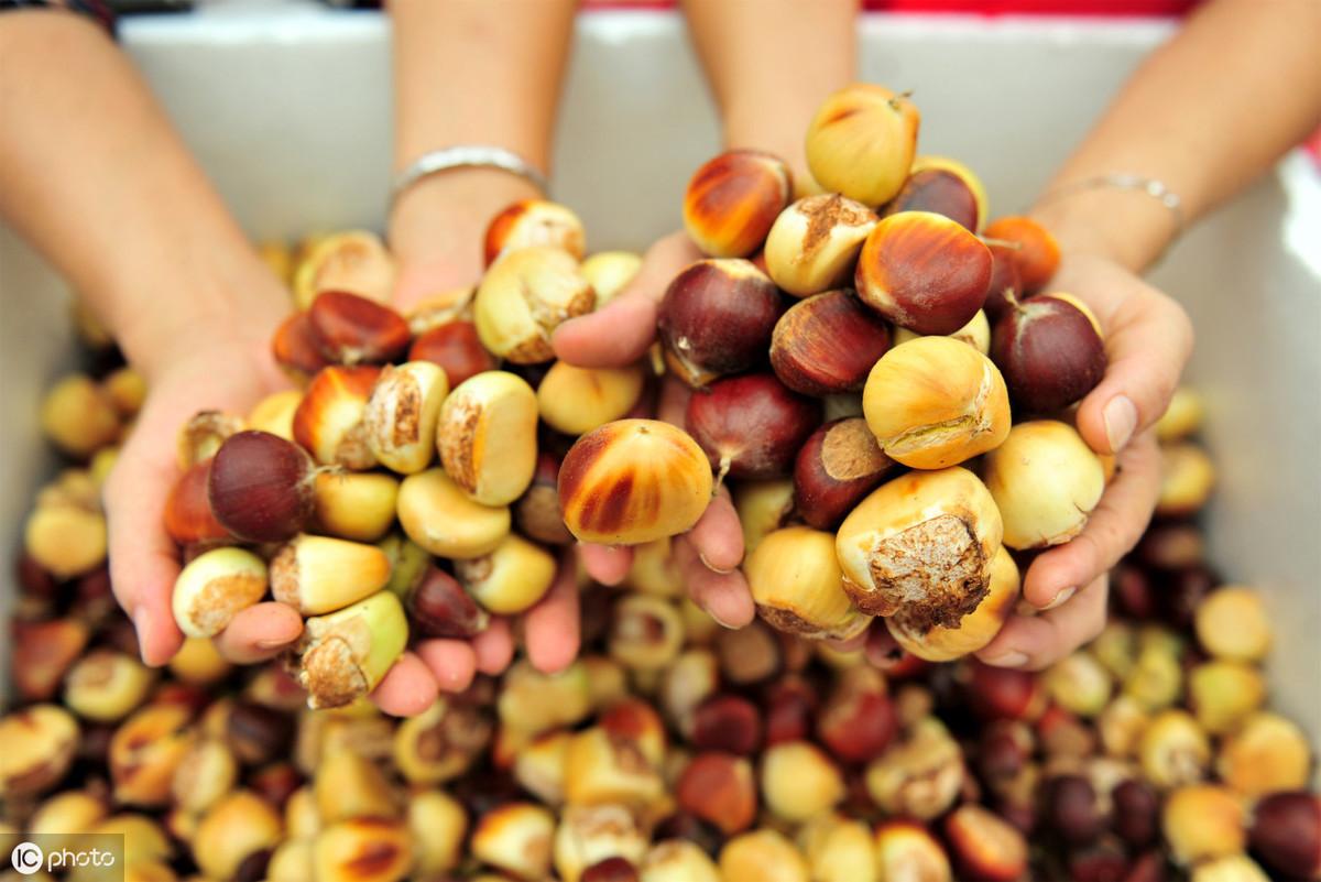 富硒茶有安神的作用吗(安神茶有什么副作用)-硒宝网