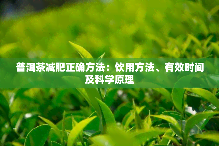 富硒茶需要喝多久减肥（富硒茶可以减肥吗）-硒宝网