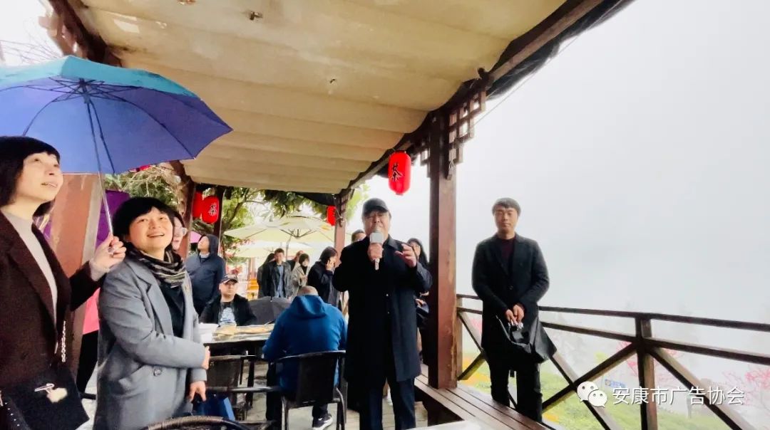 紫阳富硒茶广告词视频(紫阳富硒茶的诗句)-硒宝网