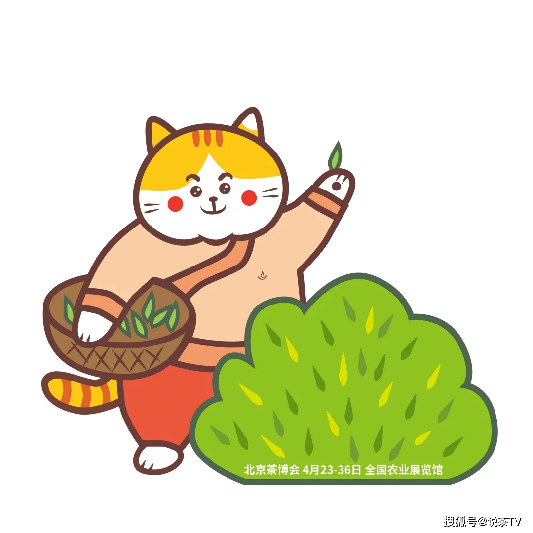 诏安富硒茶是哪里产的(安溪富硒茶)-硒宝网