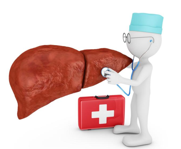 肝损伤可以喝富硒茶吗（肝脏可不可以补硒）-硒宝网