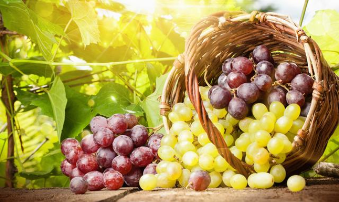 肝损伤可以喝富硒茶吗（肝脏可不可以补硒）-硒宝网