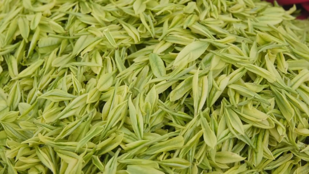 开阳哪里有富硒茶卖呀(开阳富硒茶t6体验店)-硒宝网