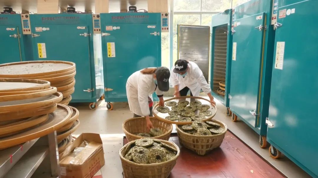 开阳哪里有富硒茶卖呀(开阳富硒茶t6体验店)-硒宝网