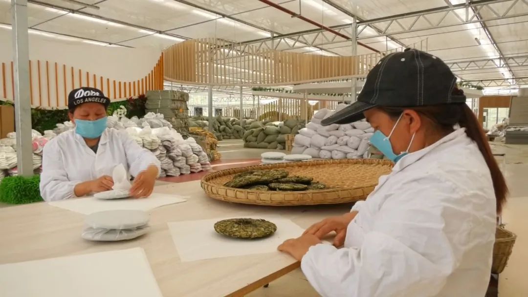 开阳哪里有富硒茶卖呀(开阳富硒茶t6体验店)-硒宝网