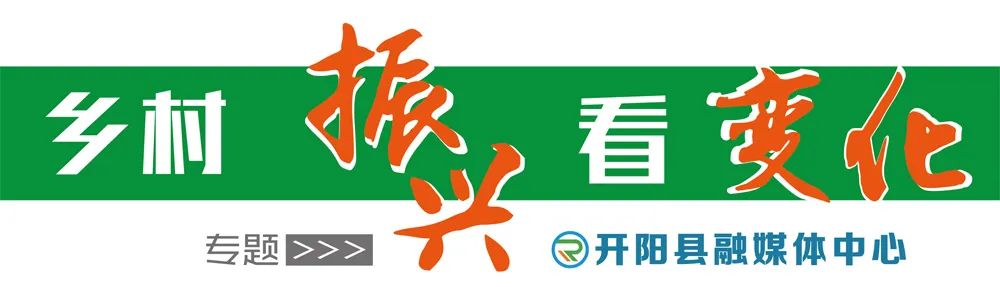 开阳哪里有富硒茶卖呀（开阳富硒茶叶）-硒宝网