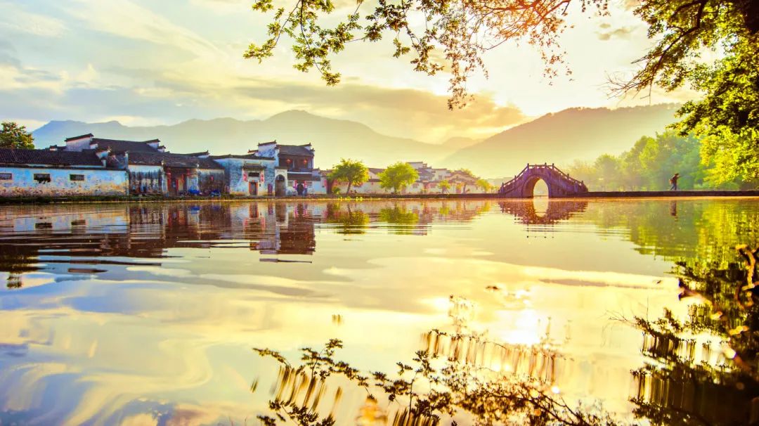 安徽秋浦富硒茶是真的（安徽富硒茶多少钱一斤）-硒宝网