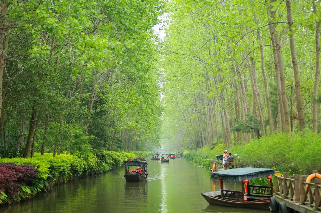 安徽秋浦富硒茶是真的（安徽富硒茶多少钱一斤）-硒宝网